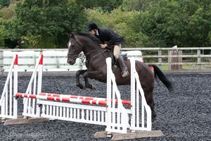 Class 6 - Fences not above 2'9